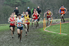 Senior boys 2019 New Balance English Schools Cross Country Champs, Temple Newsam, Leeds. Photo:  David T. Hewitson/Sports for All Pics
